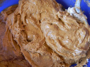 Protein Powder and Nut Butter Mixed