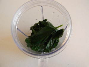 Blanched Nettle Leaves in Blender