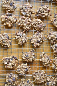 oatmeal pecan raisin cookies