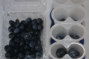 blueberries in the mold for homemade watermelon ice pops