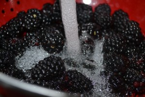 Washing blackberries