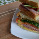 DG Sandiwich