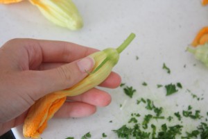 Person cleaning and prepping a squash blossom