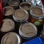 a picnic in jars