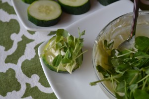 Food Matters Project: Cucumber Wasabi Dip