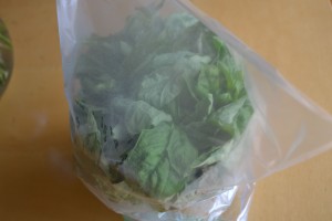 storing fresh basil