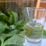 basil infused vodka