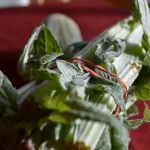 cardoon