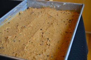 pumpkin protein batter in pan