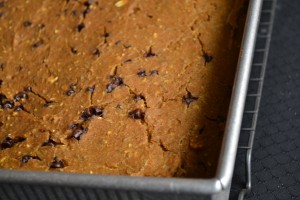 pumpkin protein bars