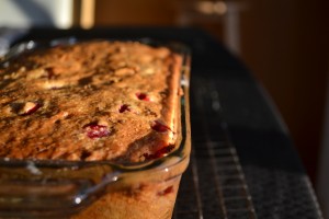 cranberry bread in pan