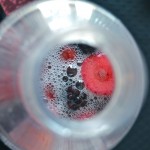 DIY Fruity Sparkling Water