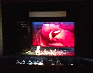 rose set opera3