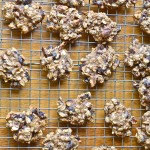 oatmeal pecan raisin cookies