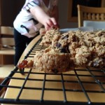Parsnip Oatmeal Cookies